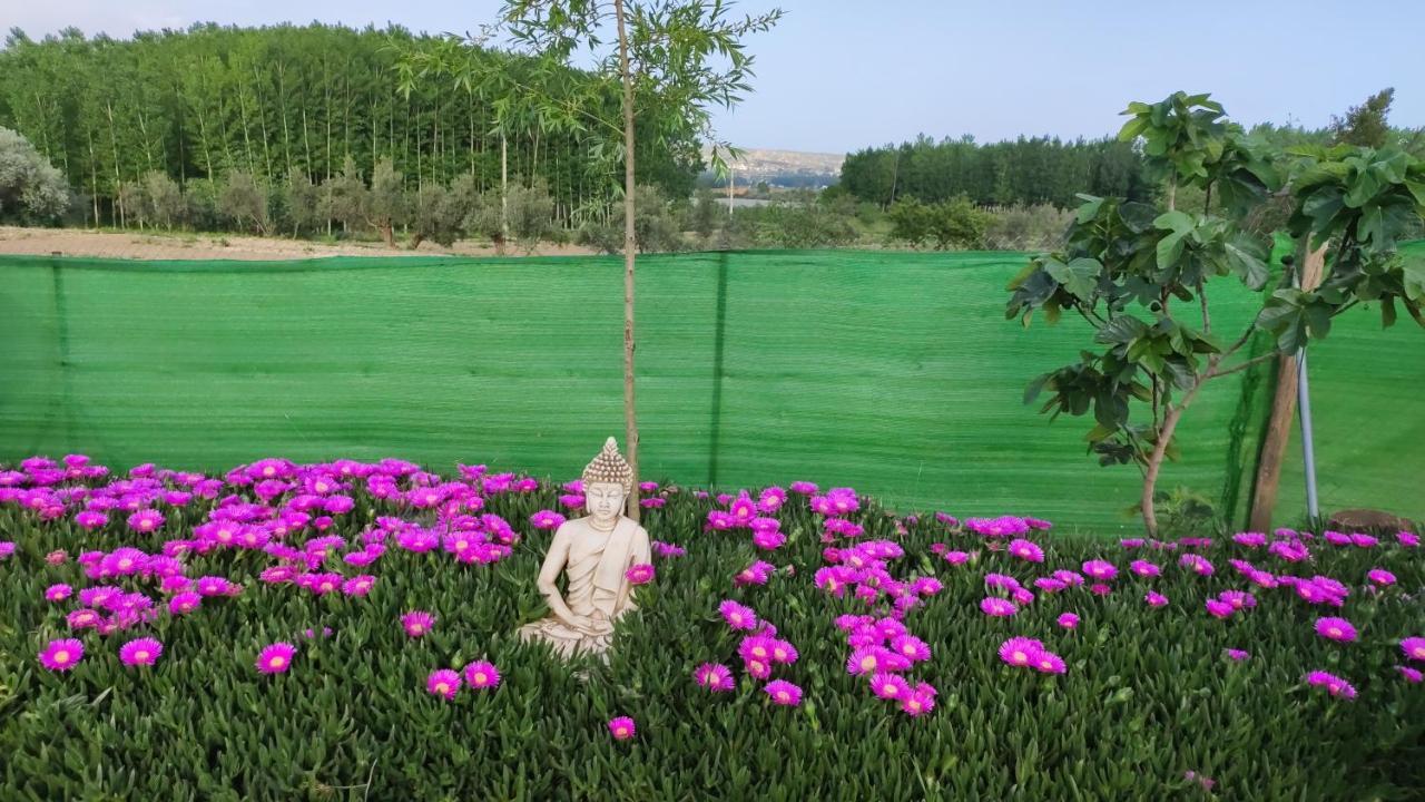 グアディクス Cuevas Cortijo Gachasヴィラ エクステリア 写真